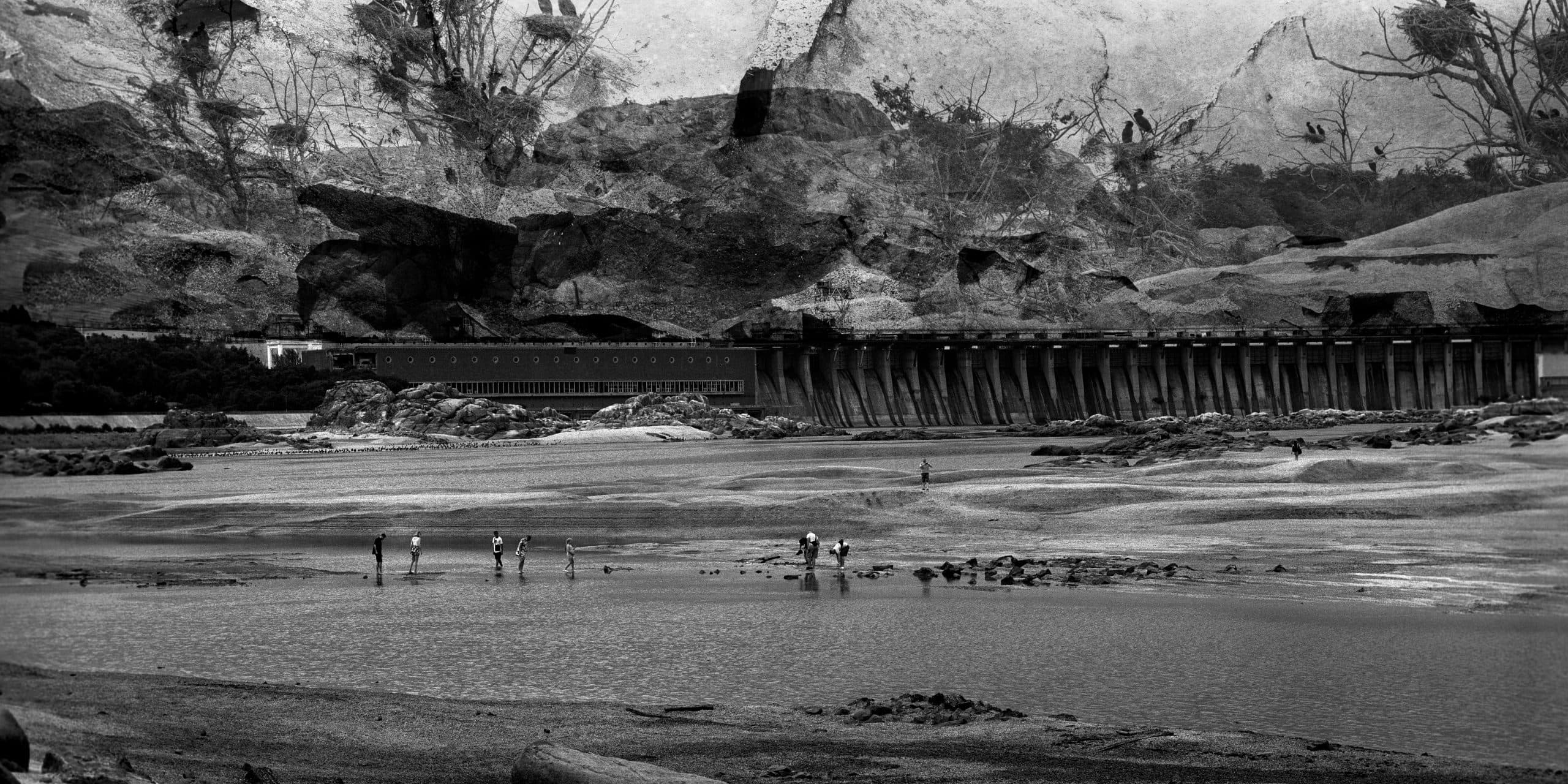 Cover Image for Legacies of Chornobyl